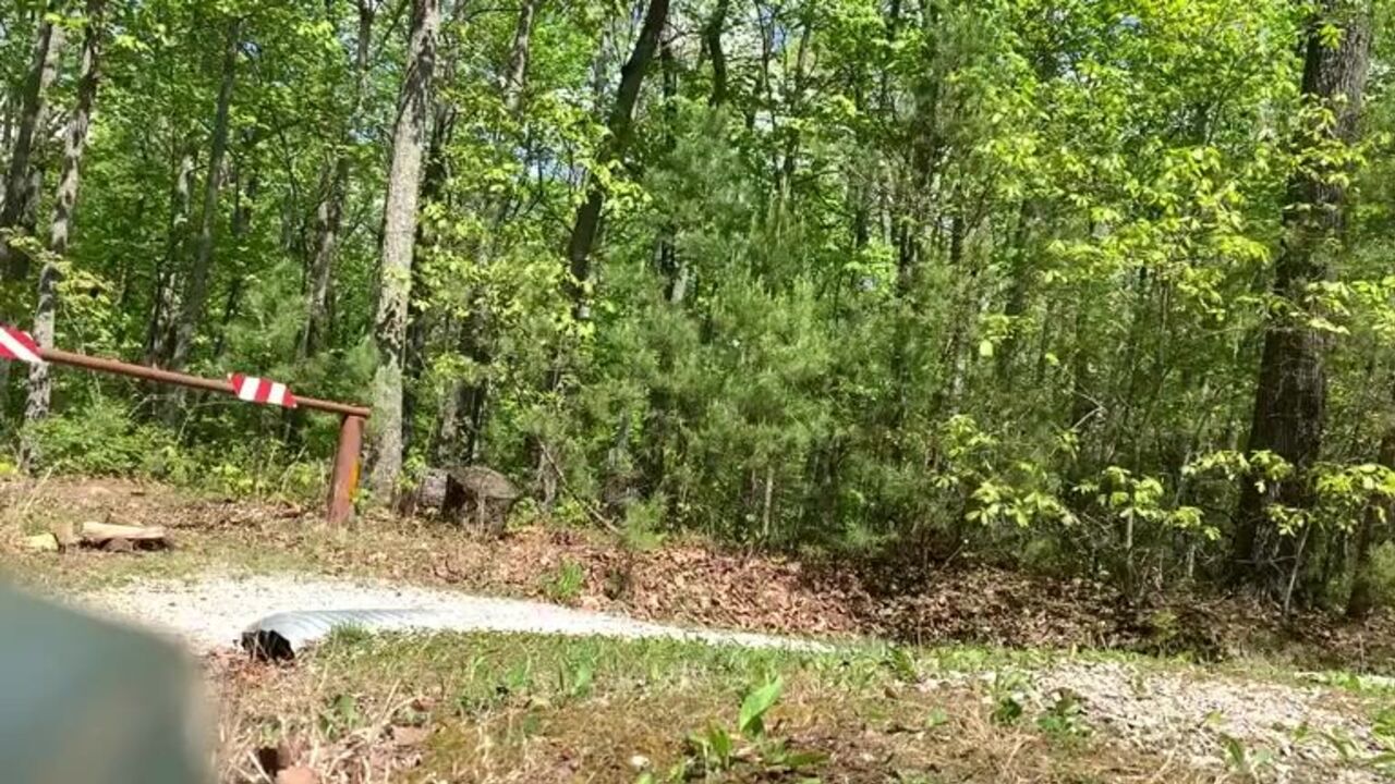 La forêt lointaine - scat porn with a dirty slutty girl