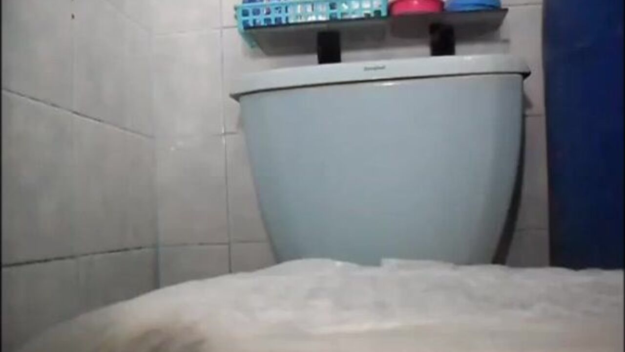 Watch as these hot sluts get off on scat play and scat porn