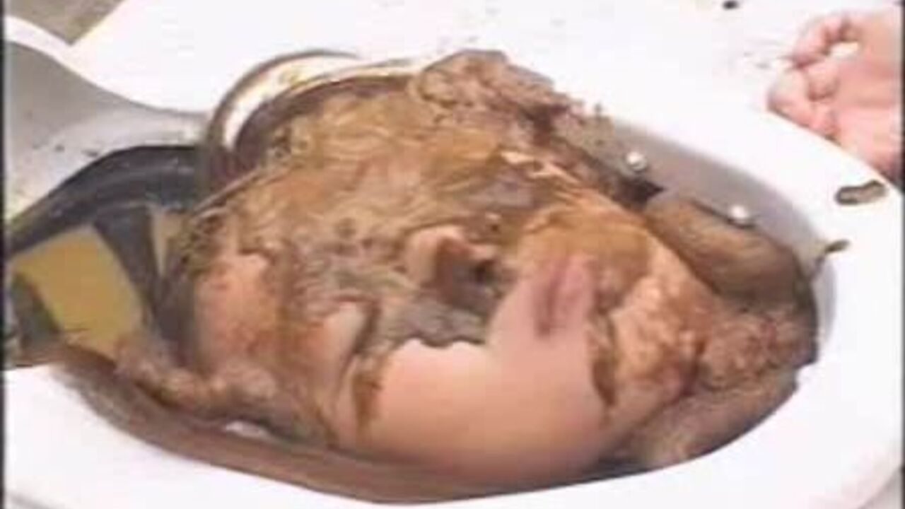 Watch this Japanese slut humiliated in public with her scat and scat porn videos