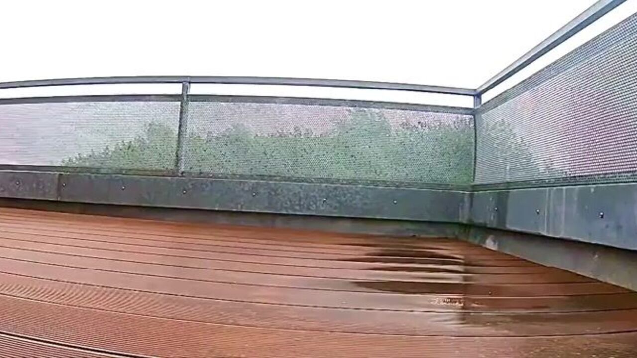 Watch this kinky porn video of a filthy scat girl getting showered with rain