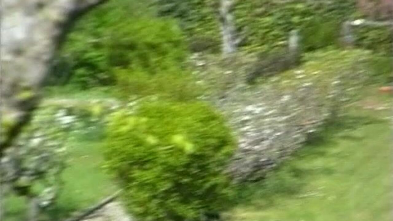 Latina slut gets her pussy and asshole drilled in scat porn video