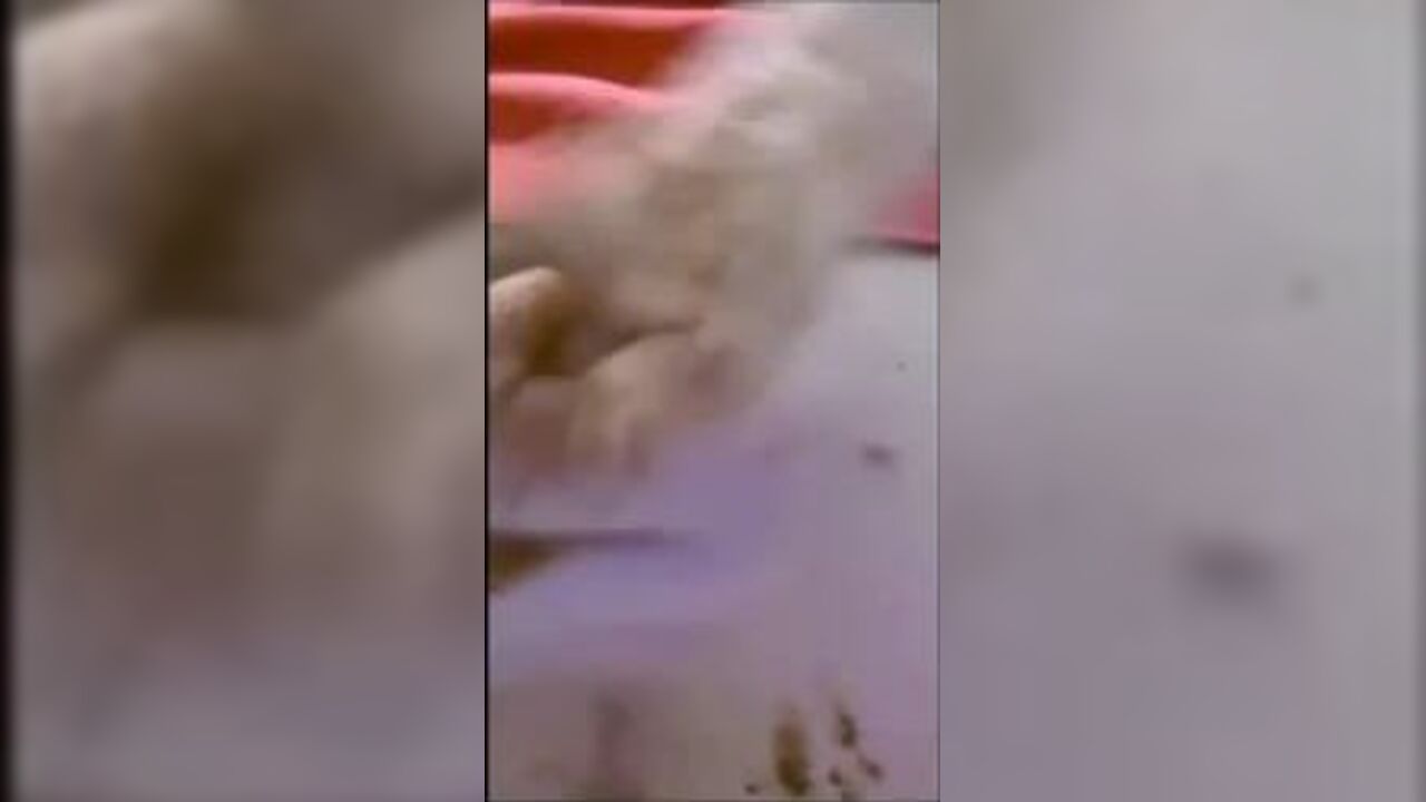Watch as filthy slut gets scatty in a hot video