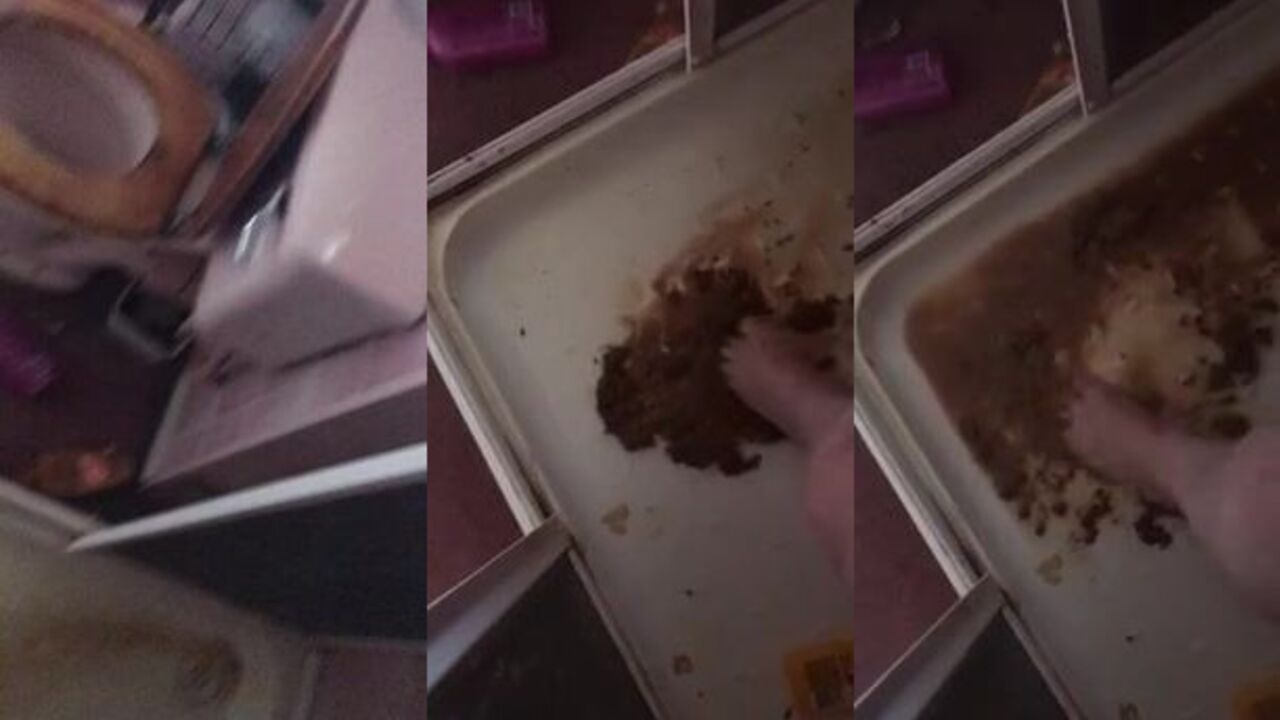 Part 2: Porno Scat Girls get off on scatting and shitting in wild porn videos