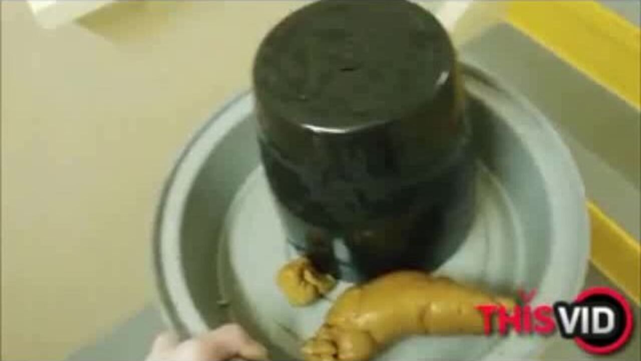 Watch the life of a scatty pornstar in 1319 - a scat porn video that will make you want to take a load in your