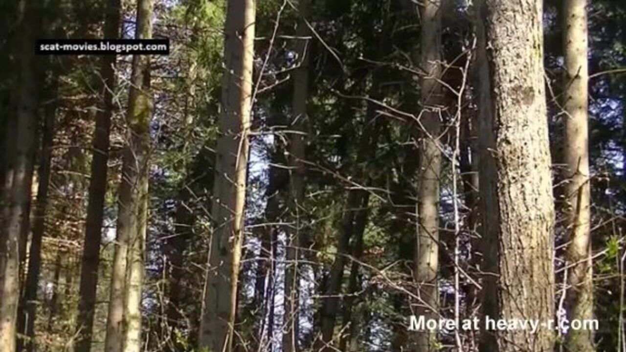 Watch this scat porn video of a hot gym slut getting off