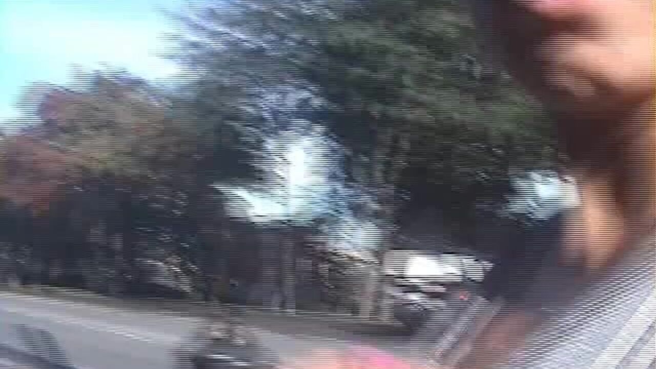 Watch these kinky scats get pumped and played with in wild porn videos