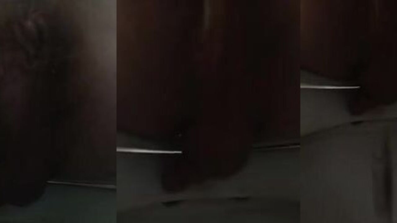 Get ready for a wild ride as this kinky chick gets her scat examined