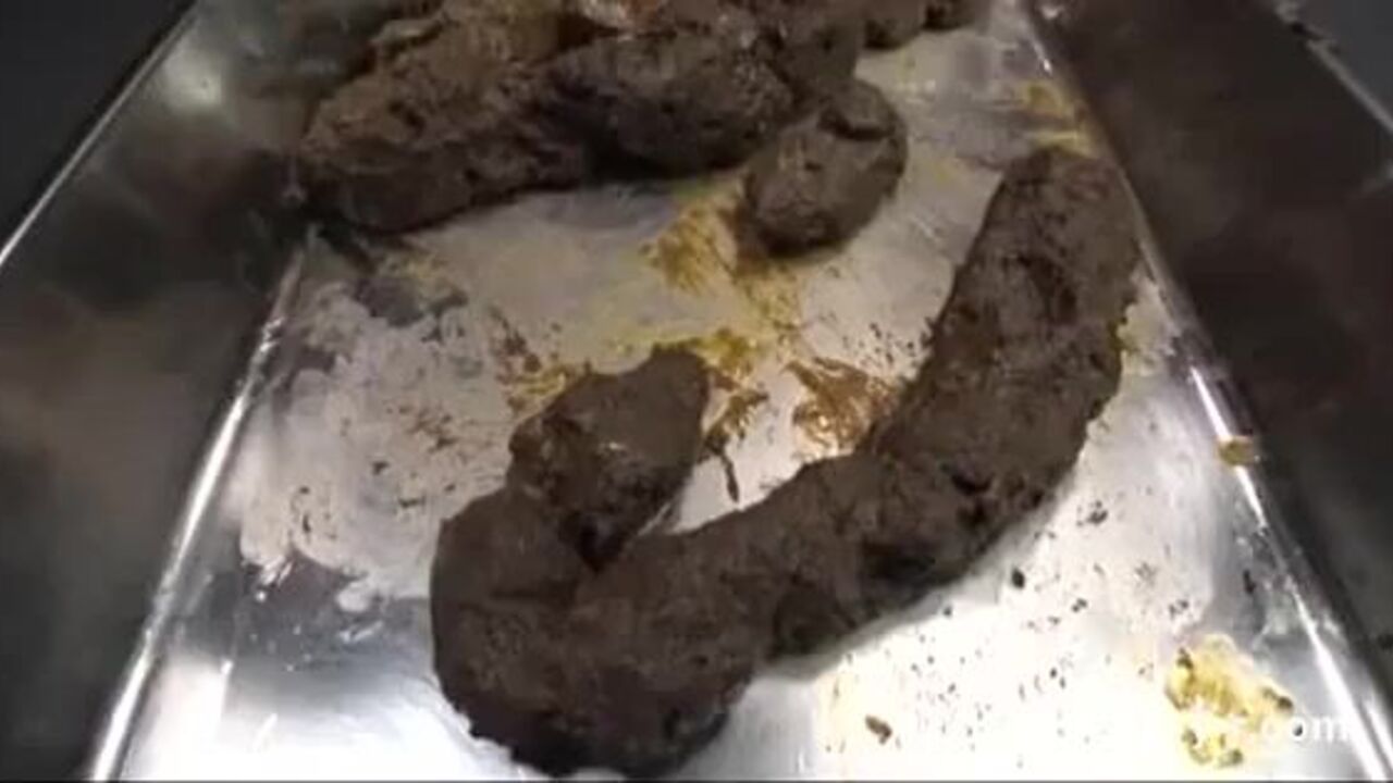 Teen Japanese girl craves scat & eats it all