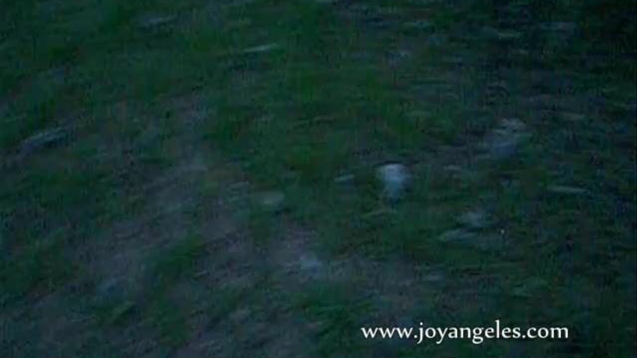 Watch this kinky scat porn video of a filthy country girl getting her asshole drilled