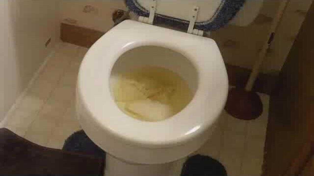 Watch Gabbay's huge toilet filled with scat and piss