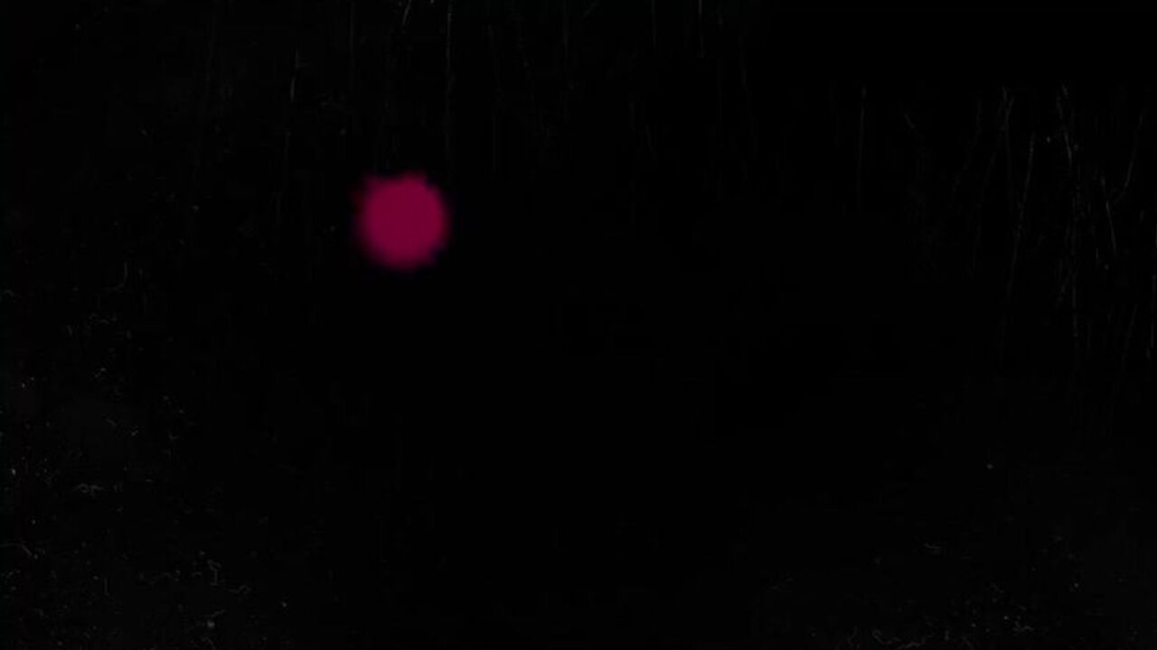 Slave gets dominated and fucked hard by Scatqueen in her scat queen mouth