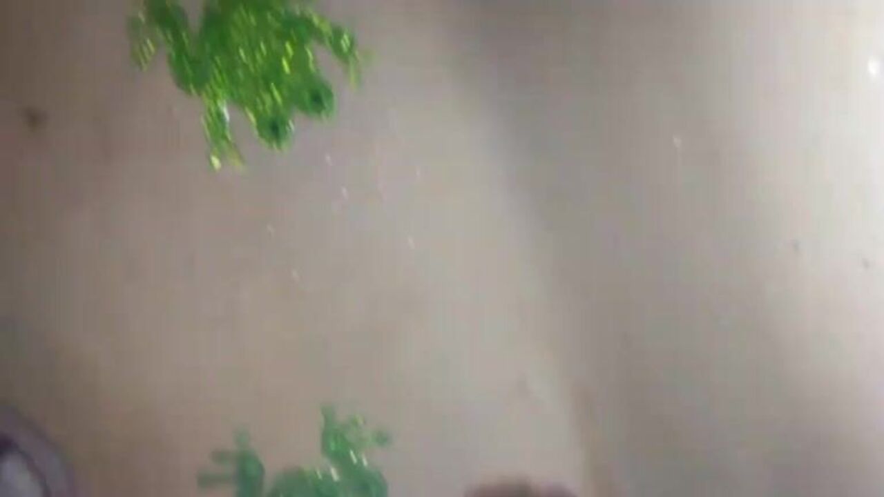 Watch this filthy slut getting her fat ass drilled and her scat pumped full of warm piss