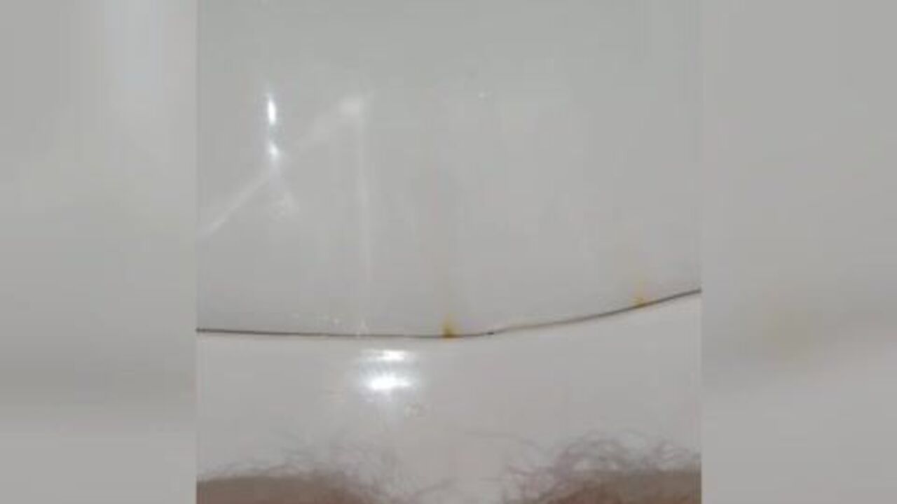 Watch this filthy slut get her scat stuffed and show off her kinky side