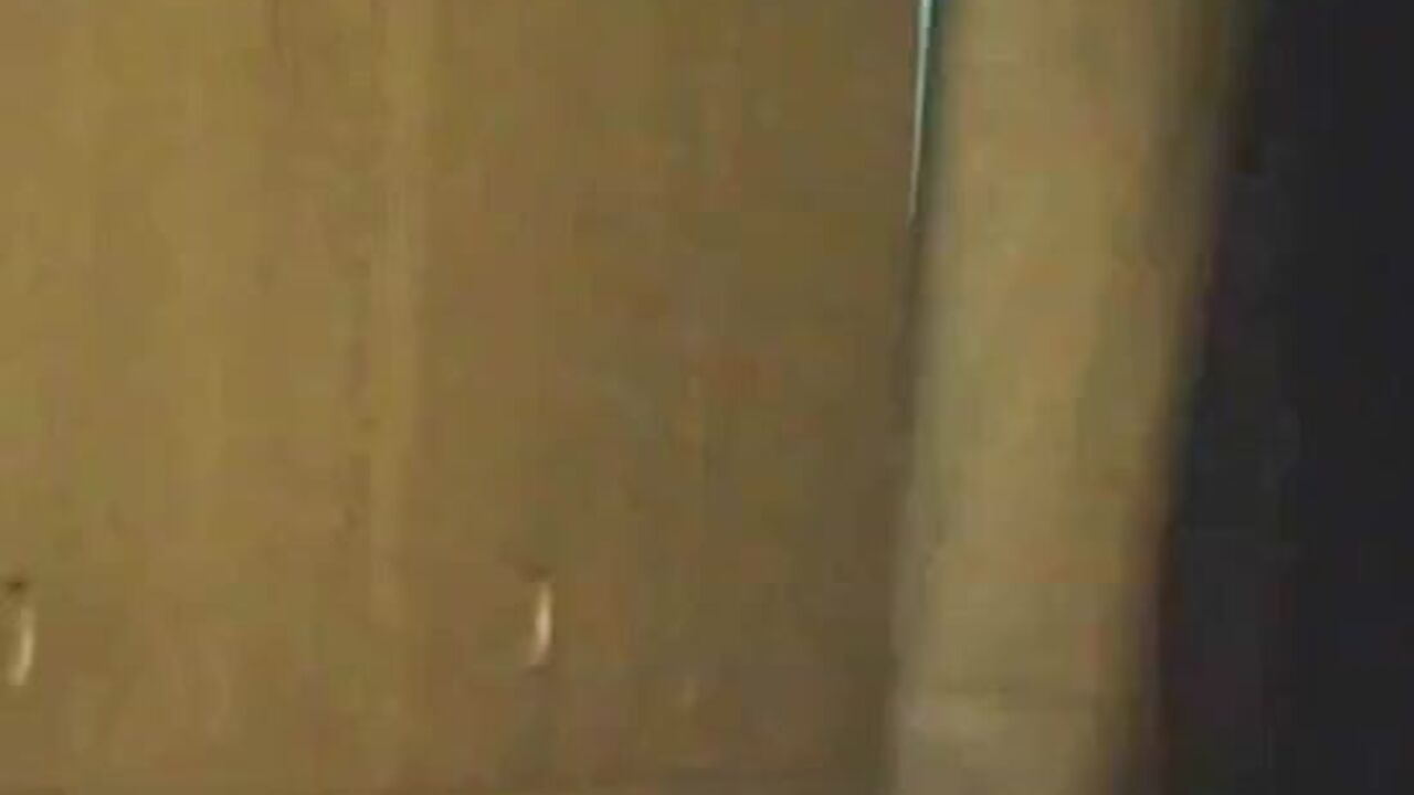 Watch these hung women lose their minds while getting their scat fix