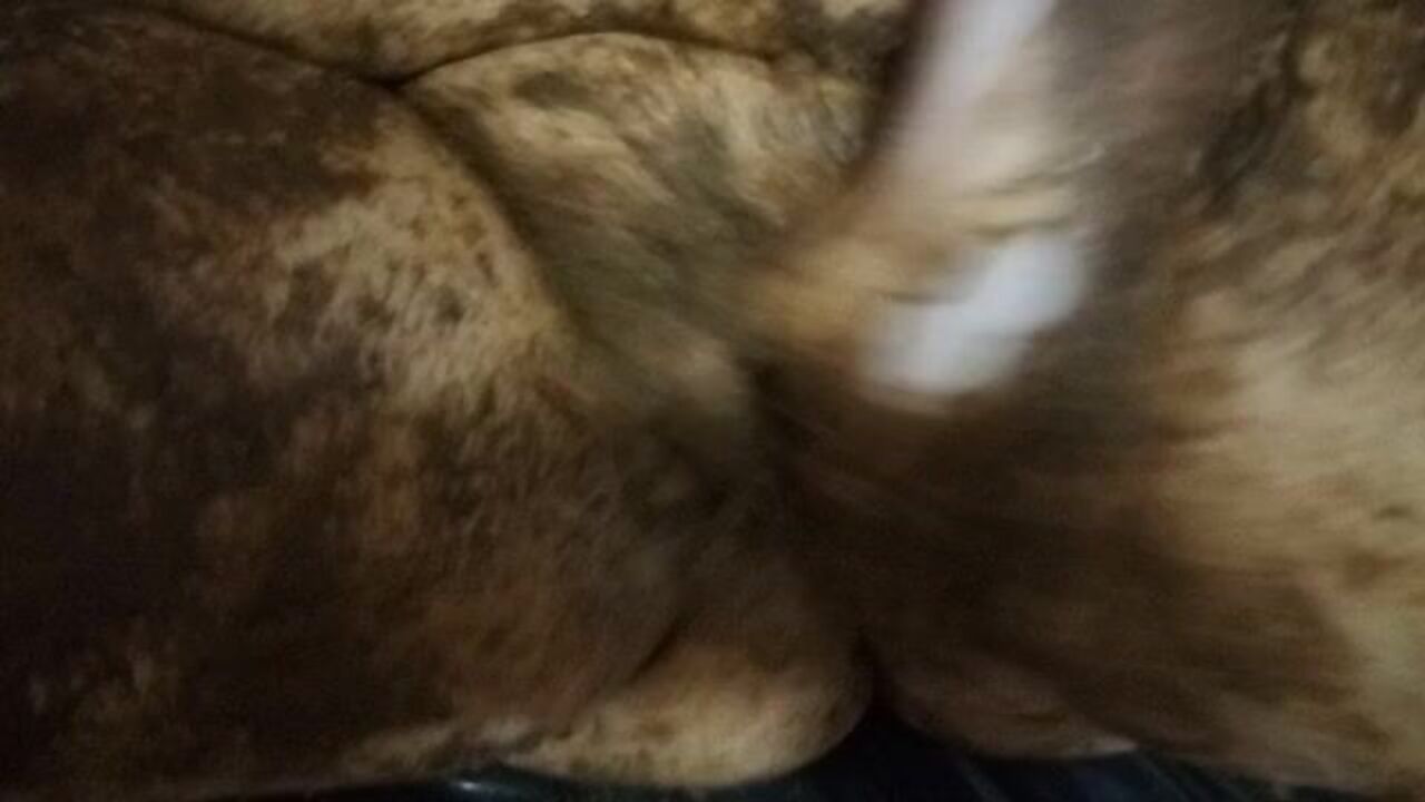 Watch this kinky slut get a sticky surprise in her scat