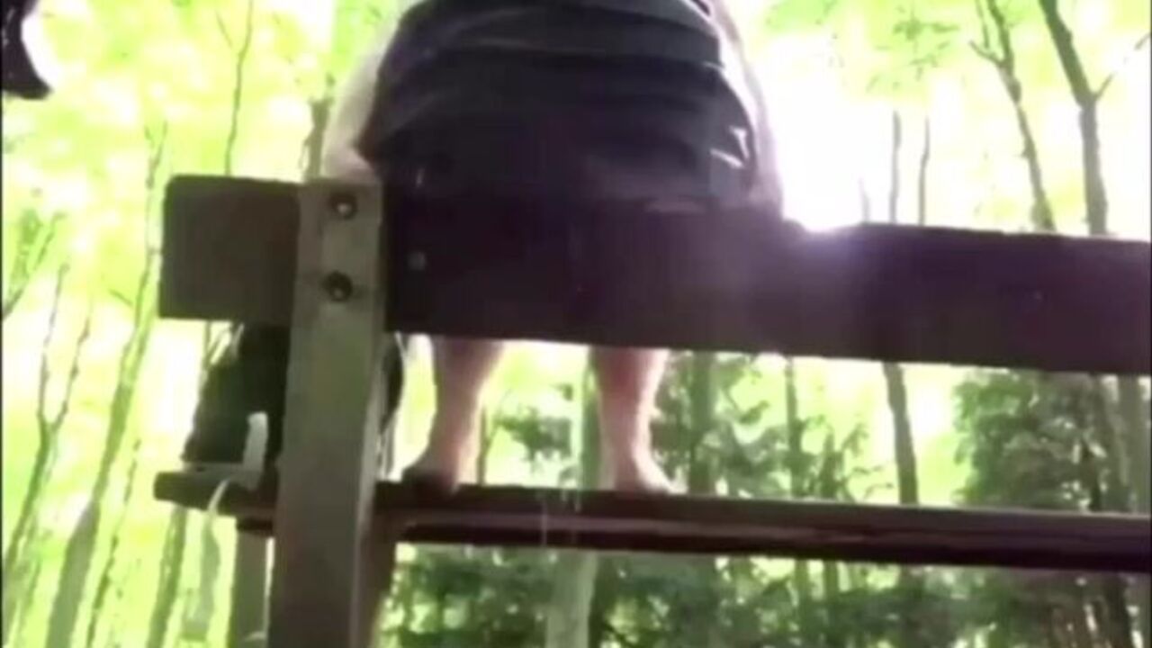 Nora Nature's Ultimate Scat Compilation: A Compilation of Compilation of Scat Slave Filthy Action!