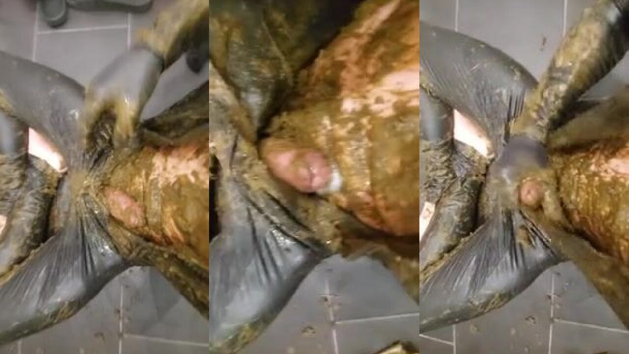 I bought Catwomen Suit for mud and dung fetish fun!