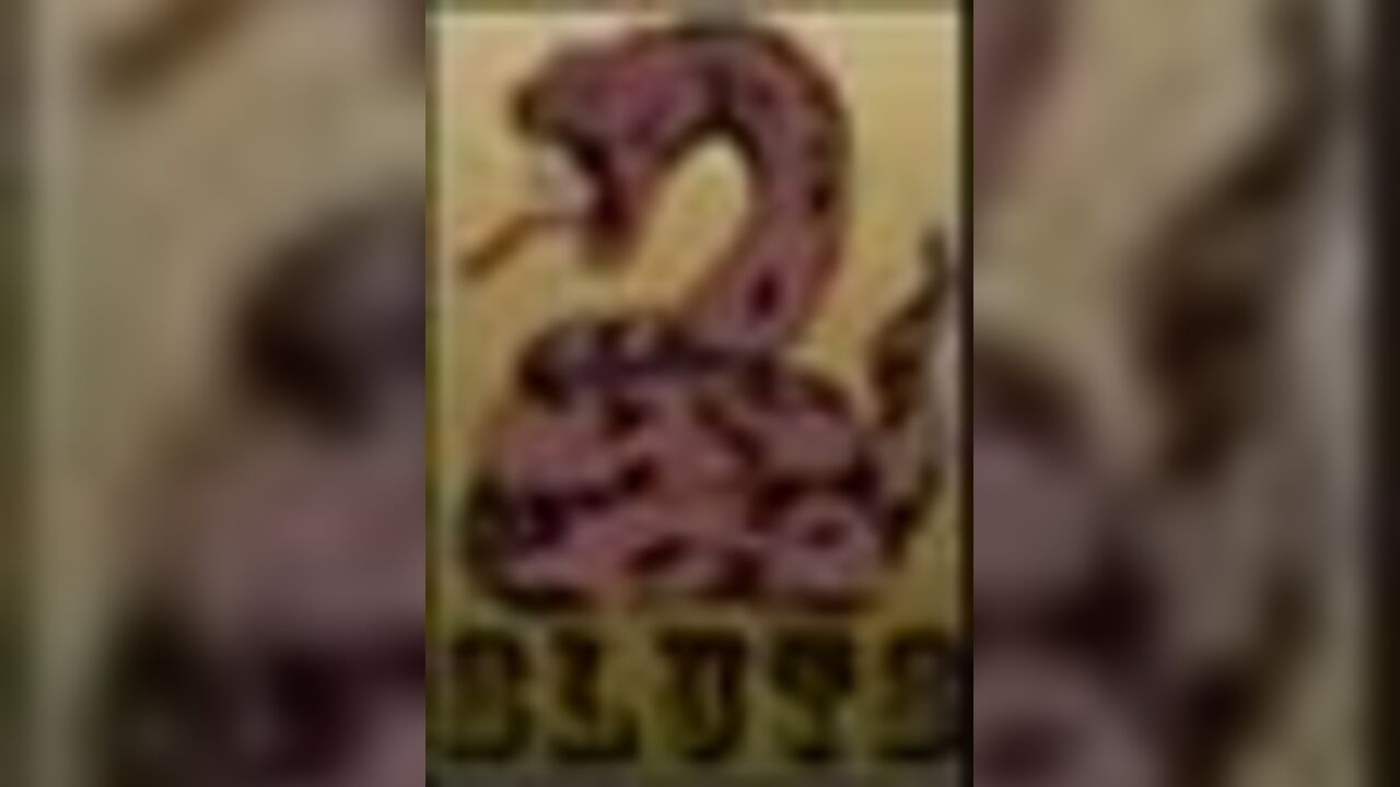 Watch these filthy sluts scat and drool in scat porn video