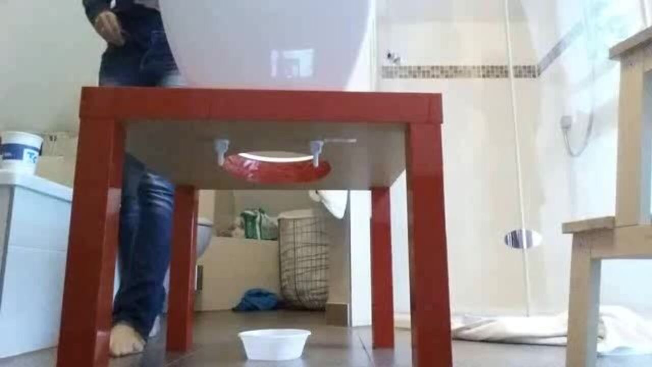 Watch these kinky sluts get off with their own excrement