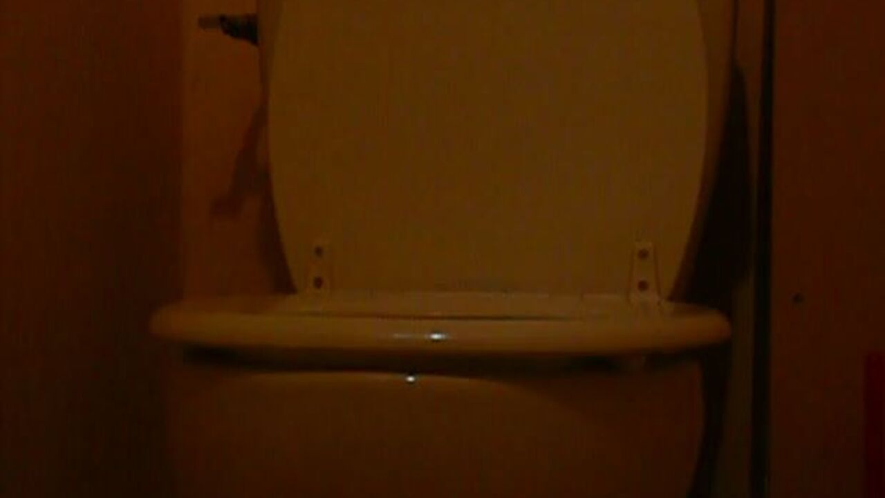 Get ready for some intense scat action with this filthy porn video