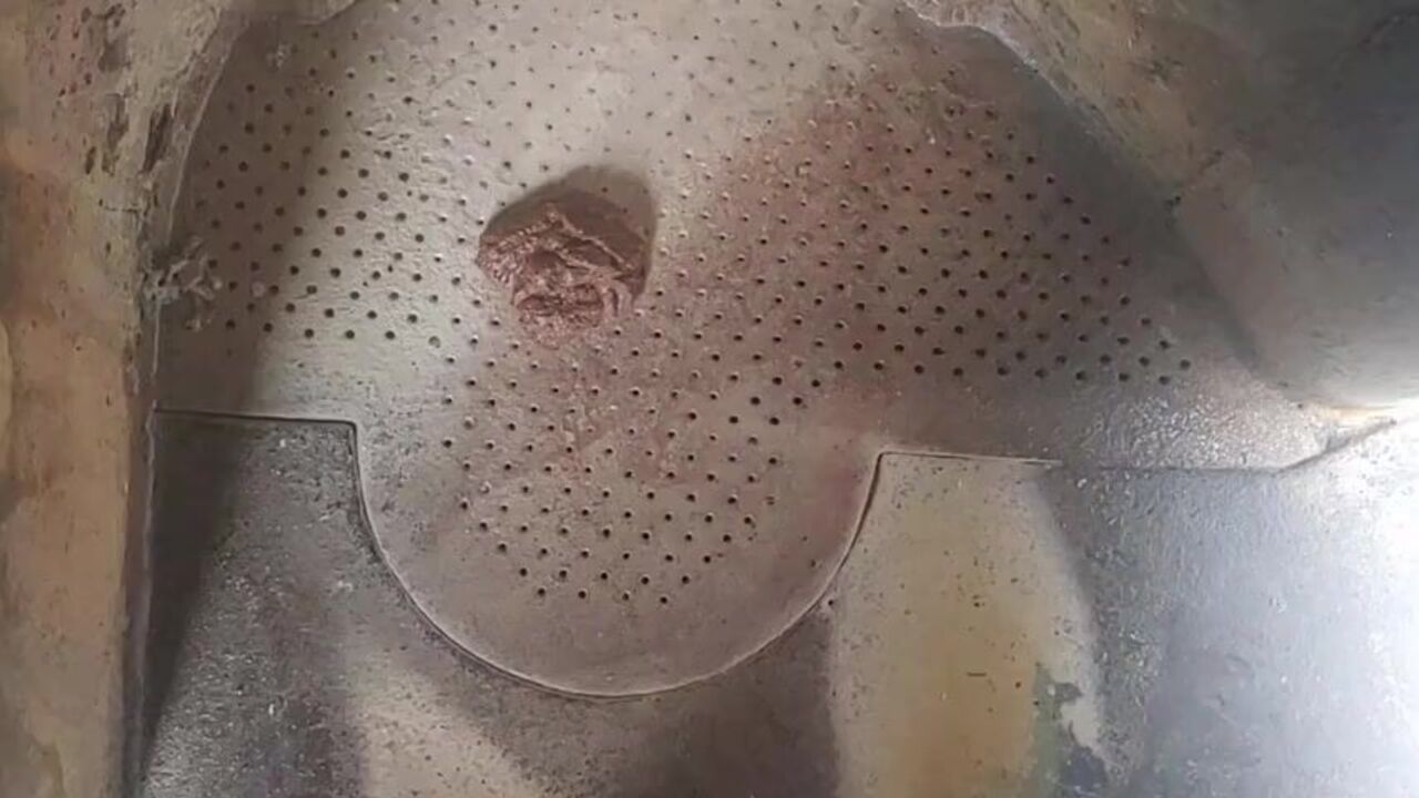 Farmed Shitty gets his dildo up and ready for a filthy fuck in the toilet