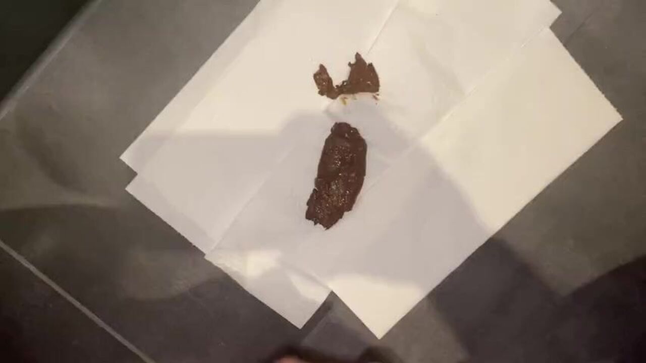 Cum on my pooped out pussy - Auf meine scat porn video