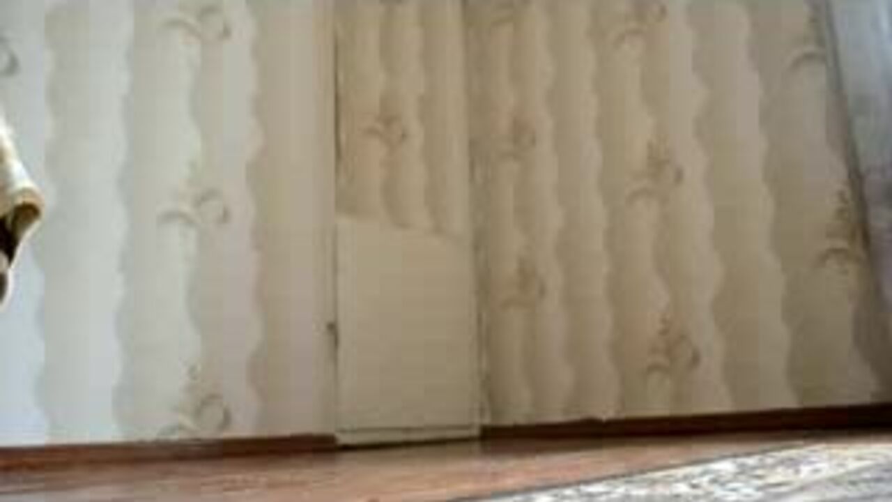 Watch this dirty slut get her scat drilled in wild POV video