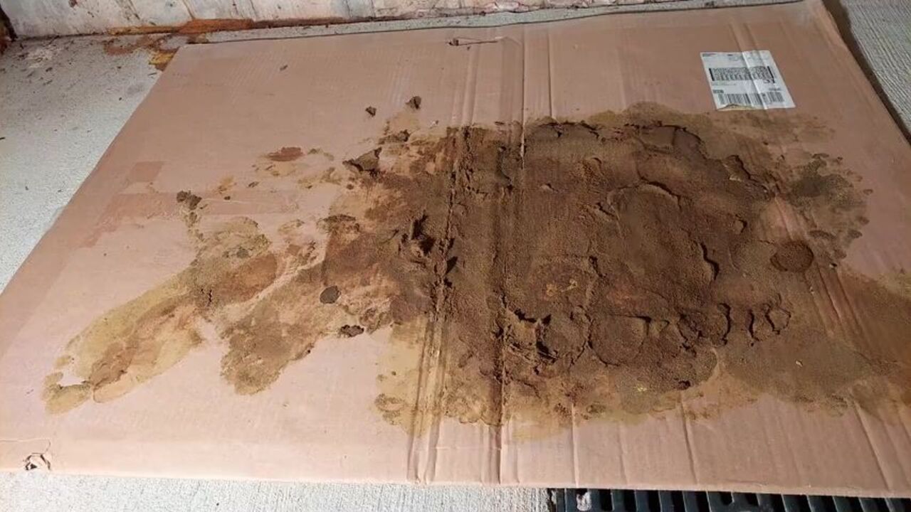 Watch these kinky teen babes in nylon stockings get their feet worshipped & trampled in this hot foot fetish video