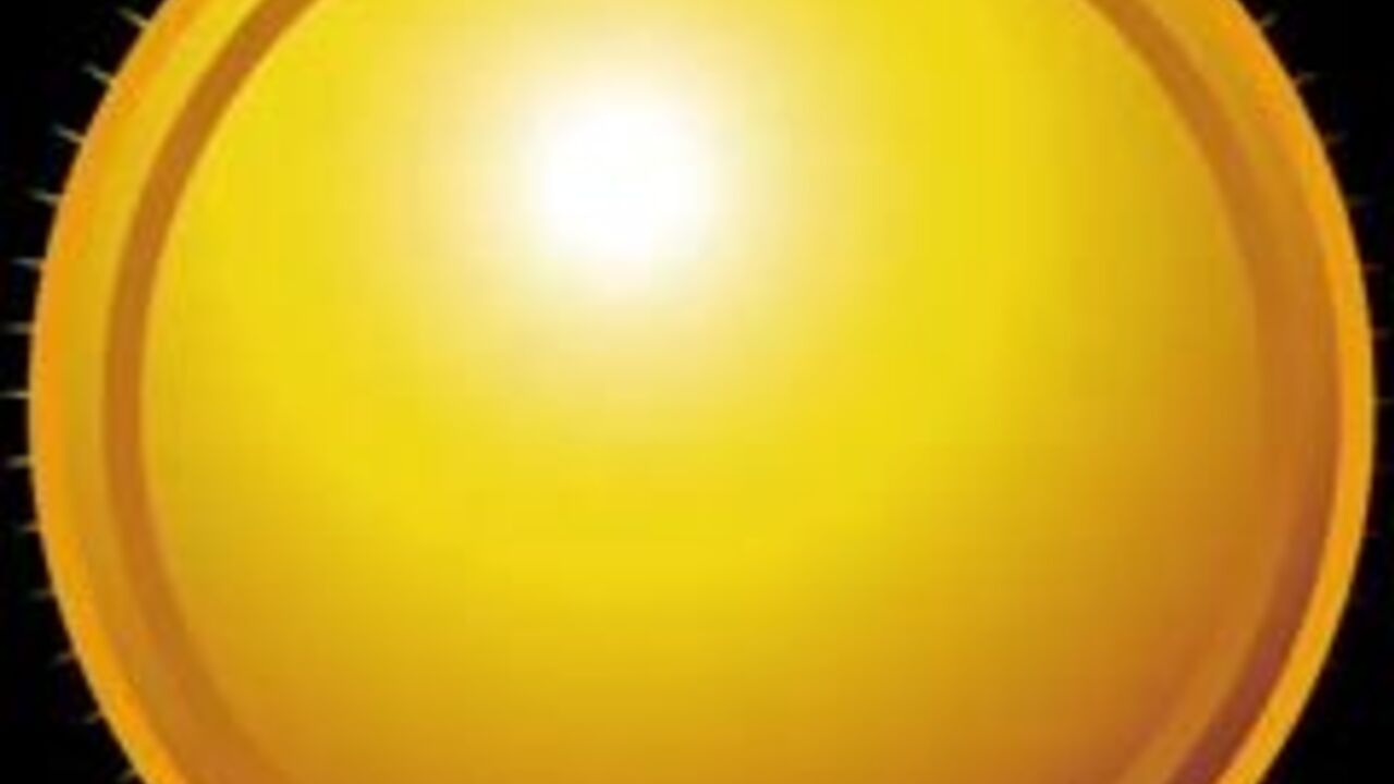 Watch as a scatty slut gets plowed in her scat like never before!