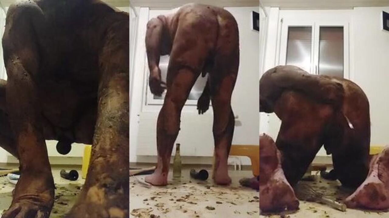 Naughty Scat Porn: A Wild Night of Smearing, Objects, and Gays