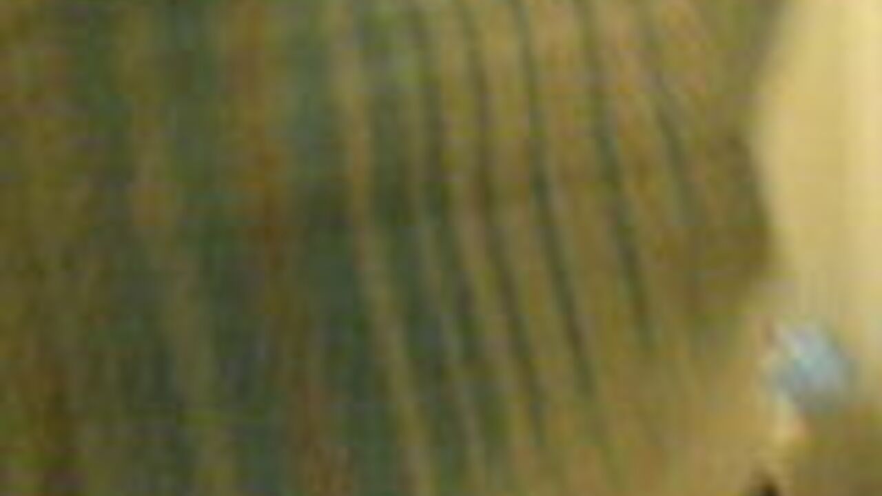 Watch this kinky girl get her scat stuffed in a filthy video