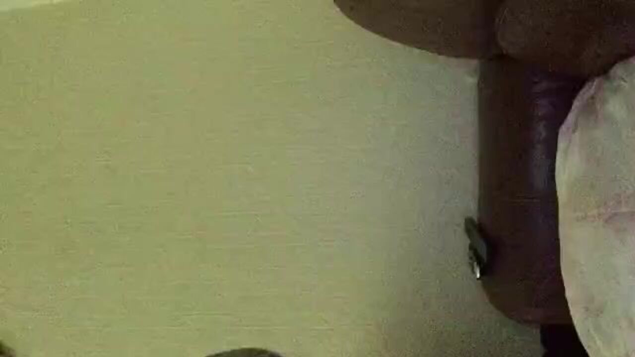 Get off to the scat fetish porn of a kinky slave girl getting off with her master