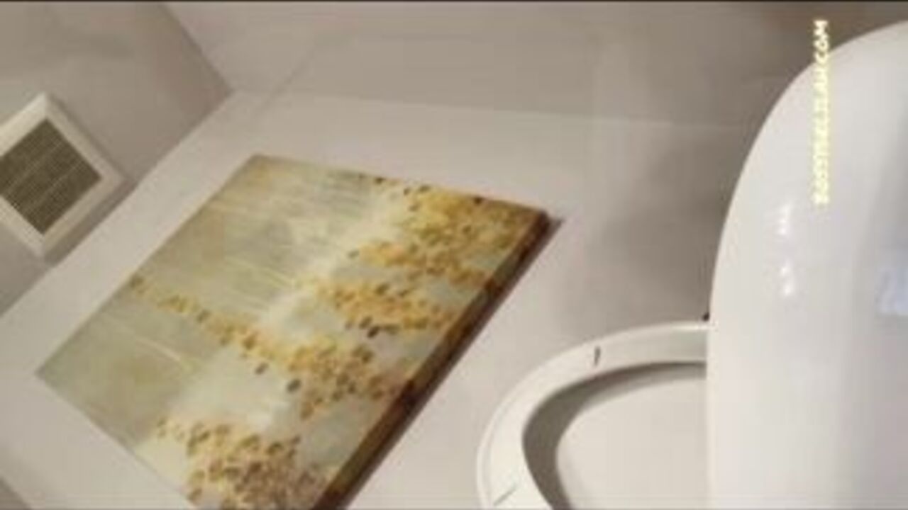 Delilah Shits gets her filthy needs fulfilled in scat video