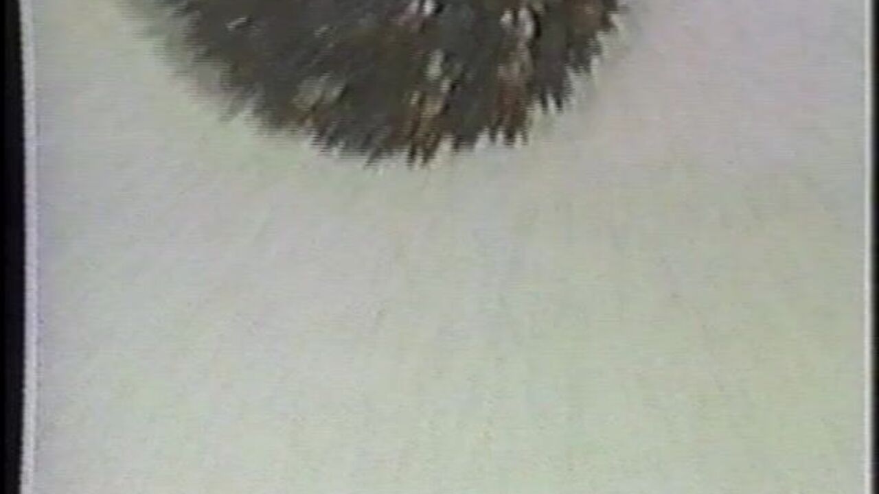 Watch Lady get off while pooping in German porn videos