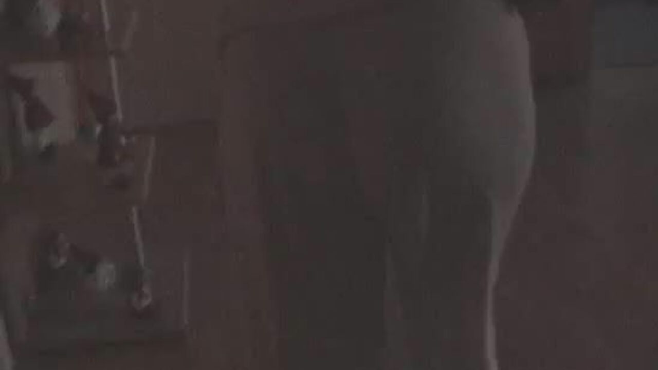 Watch this kinky slut scat & get pounded hard in her filthy pussy