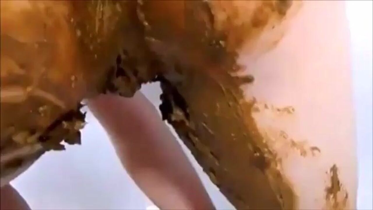 Watch this slutty girl squirt while masturbating and shitting in her own scat