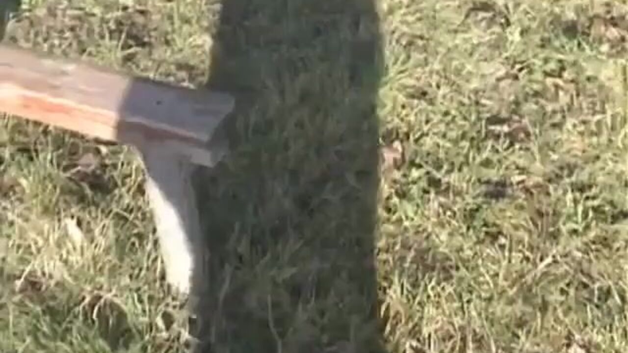 Les Eoliennes, the scatty sluts, get down and dirty in this hardcore porn video