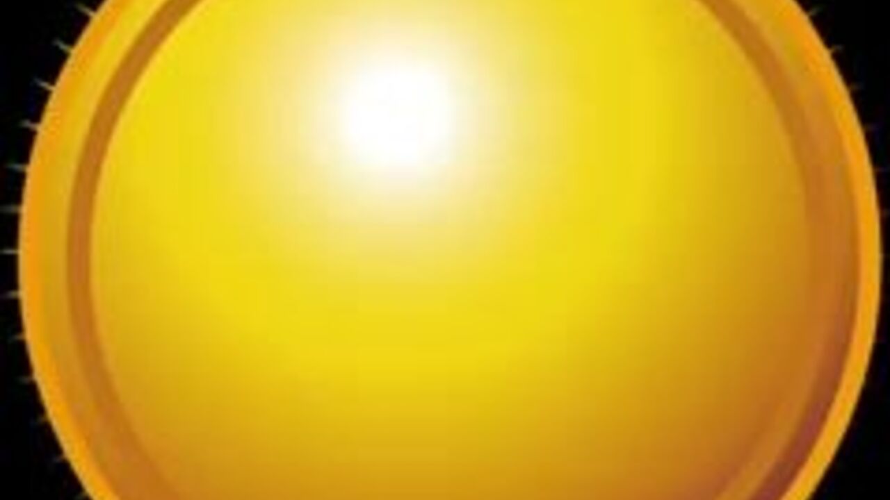 Watch this filthy video of a scatty babe getting her holes drilled