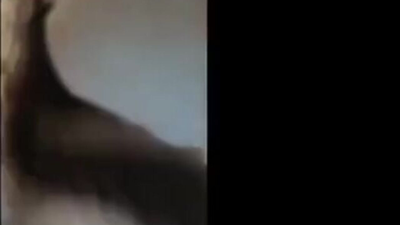 Foxyj's scat-filled pee-soaked bestiary is the ultimate release for your filthy mind