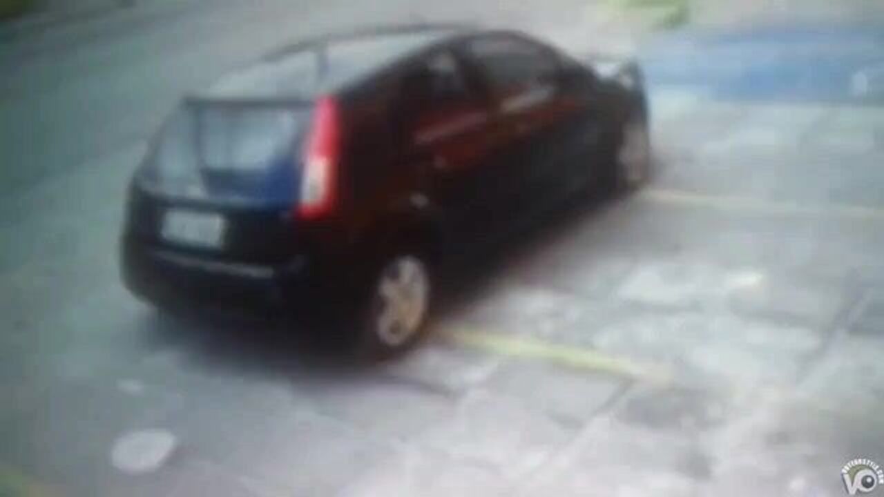 Get off the car and join the scat party, slave!