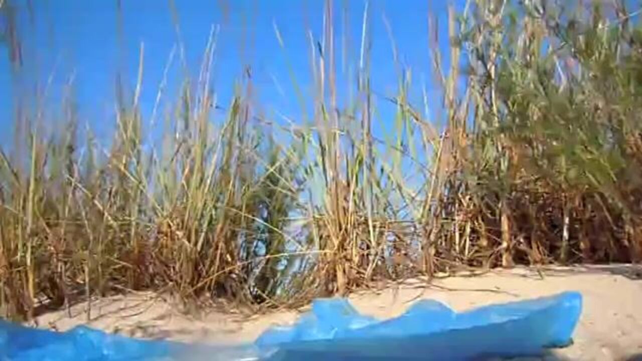 Watch the wildest beach scat fetish action ever!