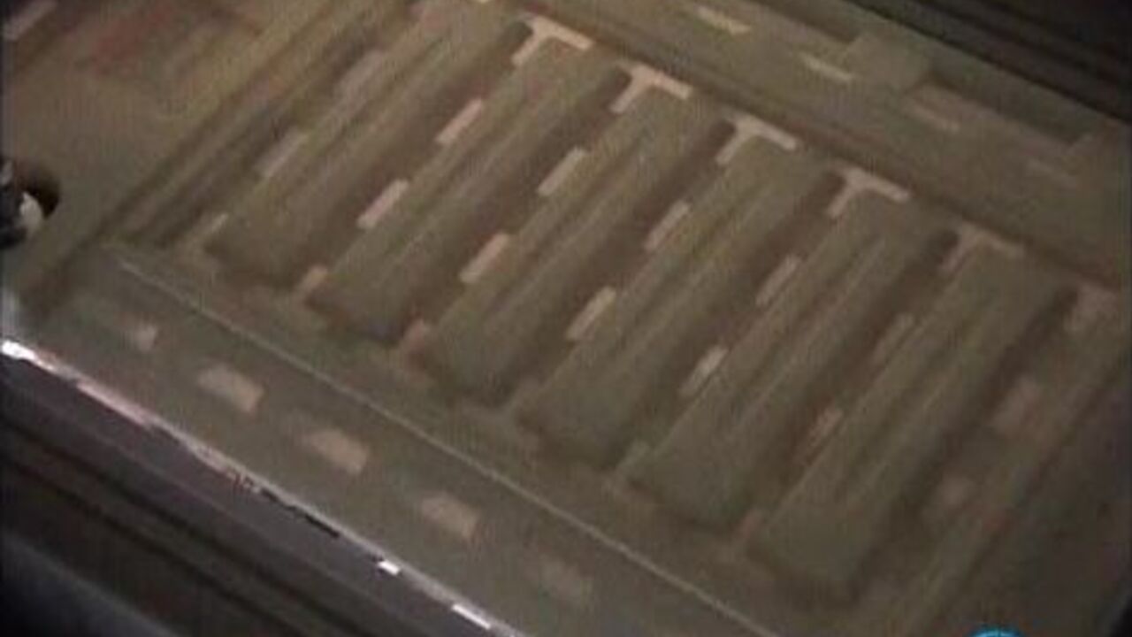 Watch as this kinky slut gets her scat stuffed and fucked hard in this POV video