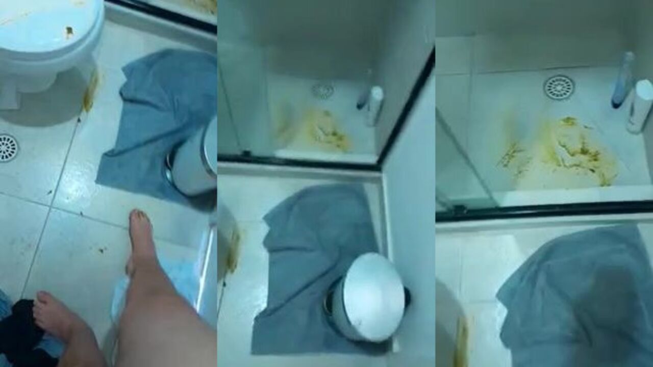 Get a taste of the wildest scat porn ever!