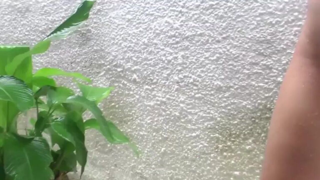 Watch these filthy sluts scat in the mud while getting wet and wild