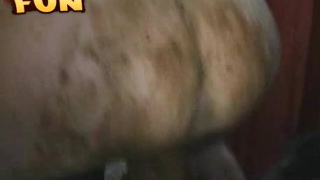 Honeybee licks dirty ass & cums hard while licking pussy