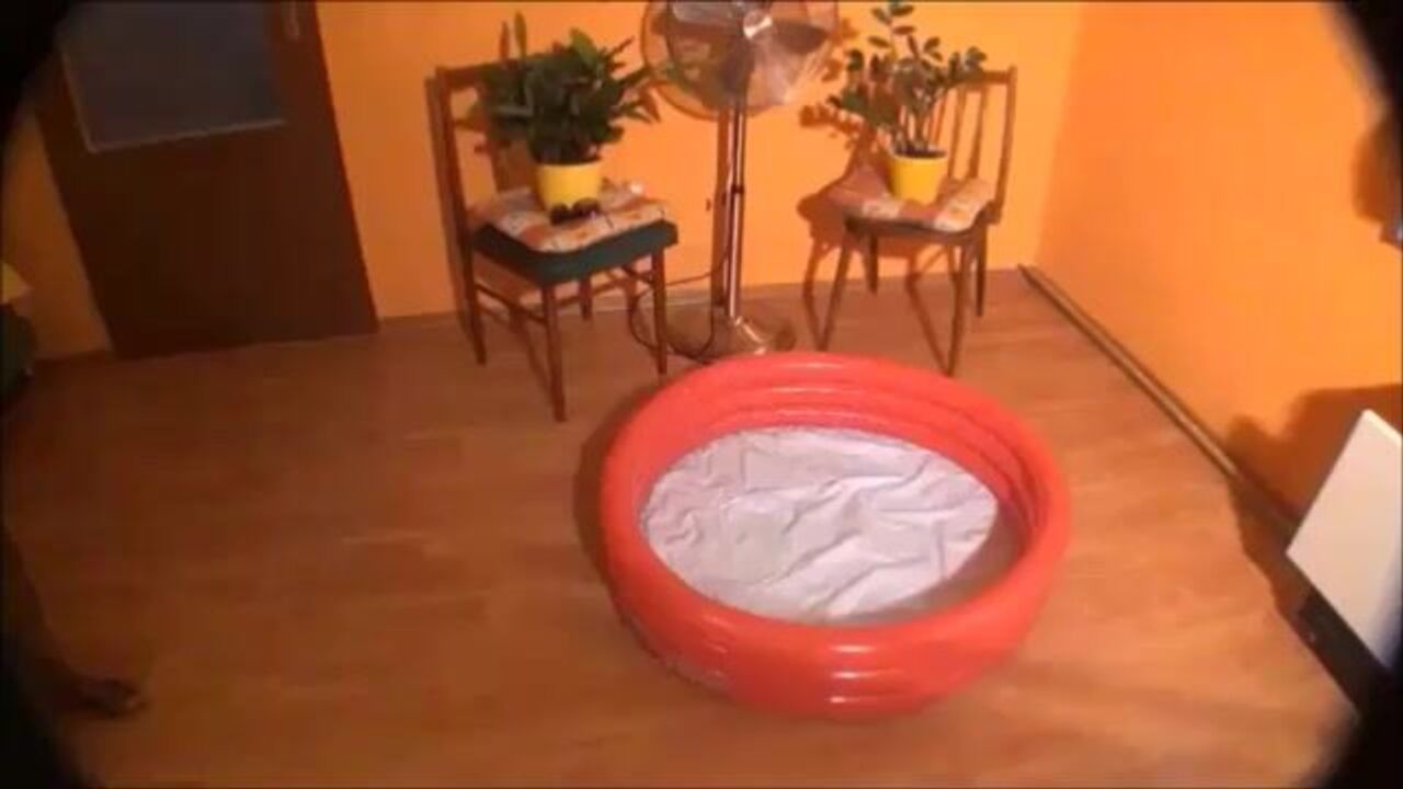 Watch these kinky sluts get their butts filled with warm piss and scat