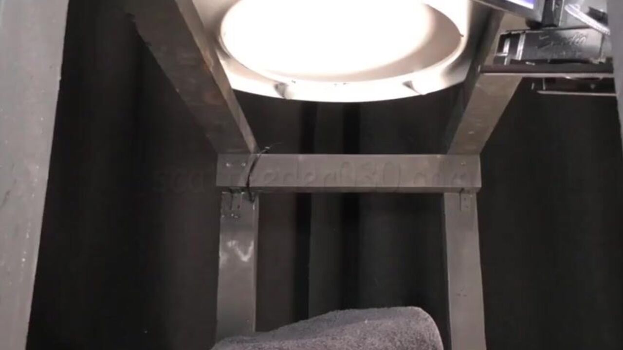 Gayscateters get their cocks filled while scat porn to eat it all