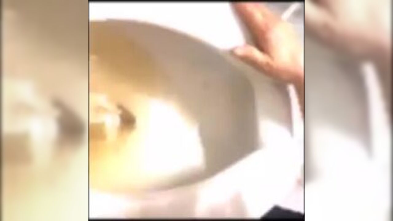 Watch these filthy girls only indulge in Messy Eats & toilet pig-gagging