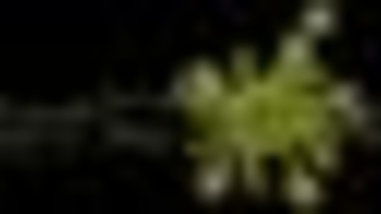 Watch these filthy sluts scat and play with their pipes in merde and scat porn videos