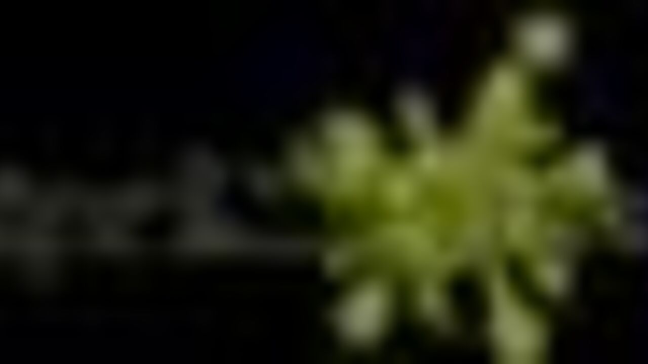 Watch these kinky scat videos featuring La Fée Du Logis getting off in different positions and doing some kinky things